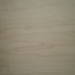 Maple